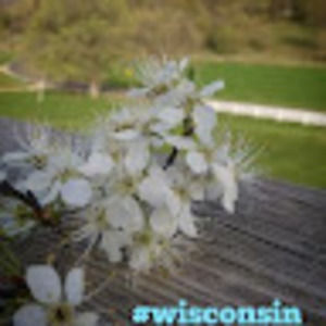 Meet your Posher, Makayla